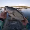 jimmy2Fish - @jimmy2fishh - TikTok