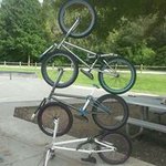 Jimmy Fish - @j.fish.16 - Instagram