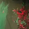 Jimmy Fish - @jimmyfish.live - TikTok