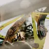 jimmyflaherty2 - @jimmyflaherty2 - TikTok