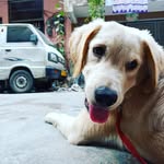 Jimmy - @jimmy_gautam77 - Instagram