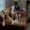 Jimmy Glisson - @jimmy.glisson - TikTok