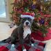 Jimmy Gray - Facebook