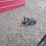 Jimmy Grimsley Gau - @jimmyd081161 - Instagram