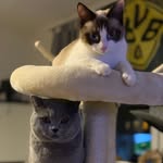 Jimmy & Hazel & Yoshi - @jimmyhazelyoshi - Instagram