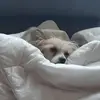 Jimmy Helmich - @jimmy.helmich - TikTok