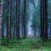 Jimmy Hendrick - Facebook