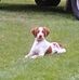 Jimmy Hooks - Facebook