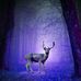 Jim Latimer - Facebook