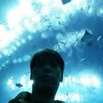 Jimmy Lui - @jimmylui3000 - Instagram