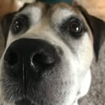 Jimmy Lyons - @jimmy_lyons55 - Instagram