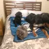Jimmy mac - @jimmy.mac49 - TikTok