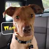 jim.marcus - @jim.marcus - TikTok
