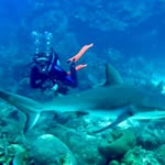 Jim McGregor - @jimmcgregor777 - Instagram