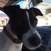 Jim McRae - Facebook