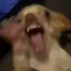 Jimmy Meier - @jimmymeier - TikTok