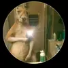 Jimmy Mena - @jimmy.mena3 - TikTok