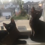 jimmy&olive - @jimmyandolive - Instagram