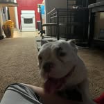 Jimmy Pardue - @pardue7338 - Instagram