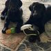 Jimmy Pardue - Facebook