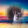jimmyparson4 - @jimmyparson4 - TikTok