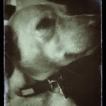 James Petry - @jimmypetry - Instagram