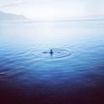 James Pickard - @jimmy.pickles - Instagram