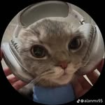 @jimmyraines.0 - Instagram