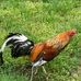 Jimmy Ramey - Facebook