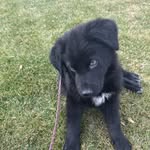 Jimmy Ramey - @rameyjimmy - Instagram