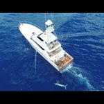 Jimmy Reddon - @jimmy_reddon_ - Instagram