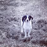 James Redden - @redden_jimmy - Instagram