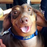 Jimmy Harbaugh Robb - @jimmytheween - Instagram