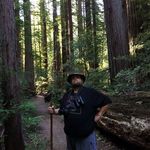 Jimmy Rowe - @jimijimjim - Instagram