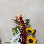 Jimmy Salgado - @jimmy.salgado.9003 - Instagram