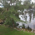 Jimmy Salgado - @jimmy.salgado.528 - Instagram