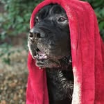 Jimmy Saxton - @omgthisbullshitagain - Instagram