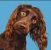 Jim Sides - Facebook