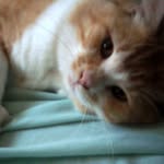 @jimmysimone2019 - Instagram