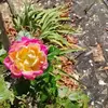 Jimmy Stover - @jimmy.stover7 - TikTok