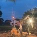 Jimmy James Stump Grinding - Facebook