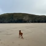 Jimmy Webster - @jimothywebster - Instagram