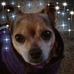 Jimmy Wesson - Facebook