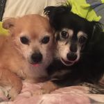 Jimmy Reed, Wiley Blue & Crash - @jimmy.r33d_wiley_blue - Instagram