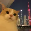 JinChen - @jinchen097 - TikTok