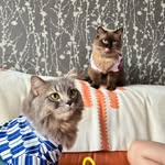 Jumi.Jinko - @jumi.jinko - Instagram