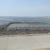 jin mei - @user4007378727997 - TikTok