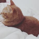 Jin Mei Chen - @rainie0921 - Instagram