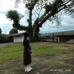 Jin Mei Ling - Facebook