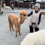 劉金美 - @jinmei621 - Instagram
